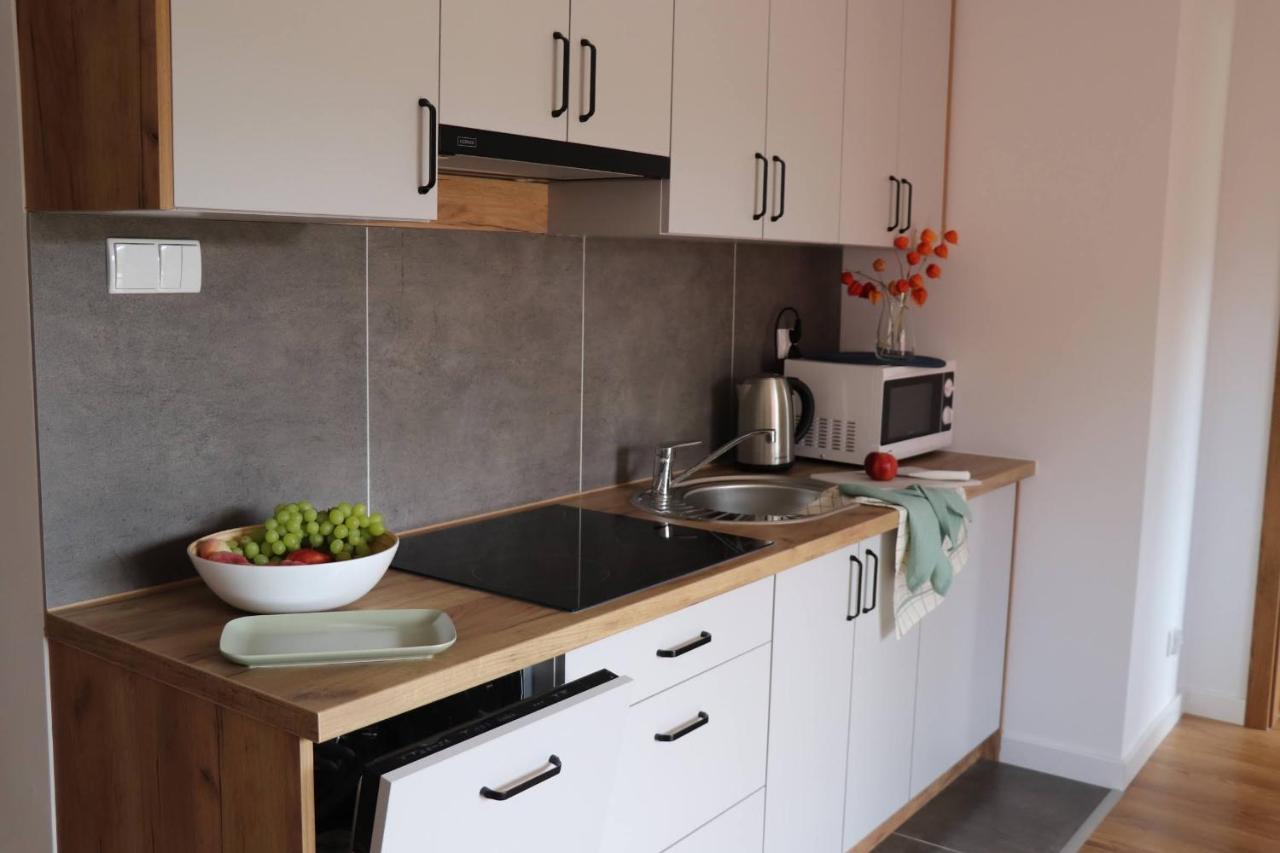 Apartamenty Pardalowka 50 Zakopane Kültér fotó