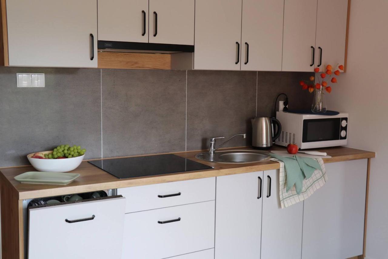 Apartamenty Pardalowka 50 Zakopane Kültér fotó