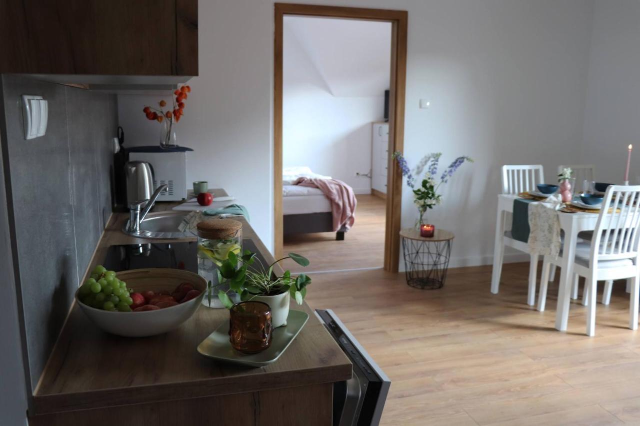 Apartamenty Pardalowka 50 Zakopane Kültér fotó