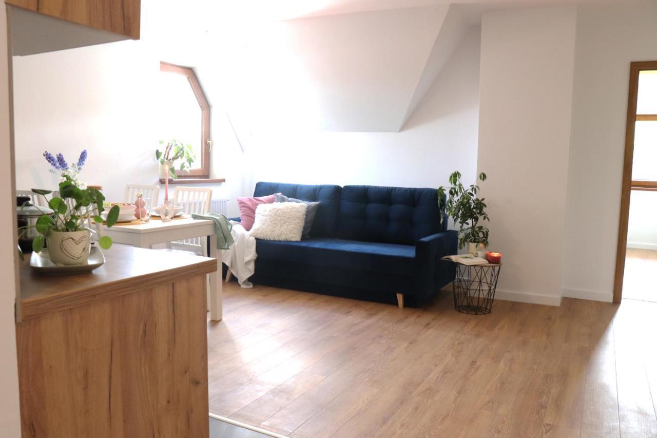 Apartamenty Pardalowka 50 Zakopane Kültér fotó