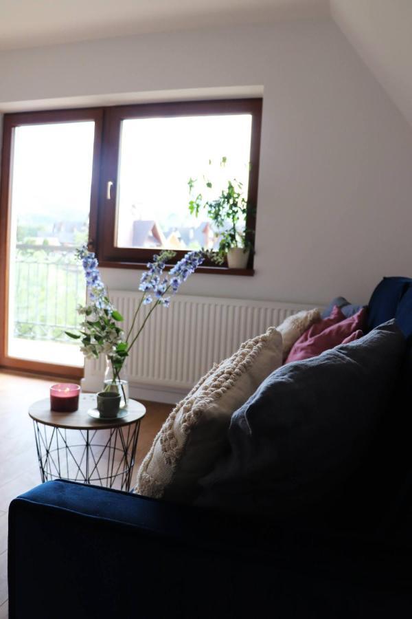 Apartamenty Pardalowka 50 Zakopane Kültér fotó