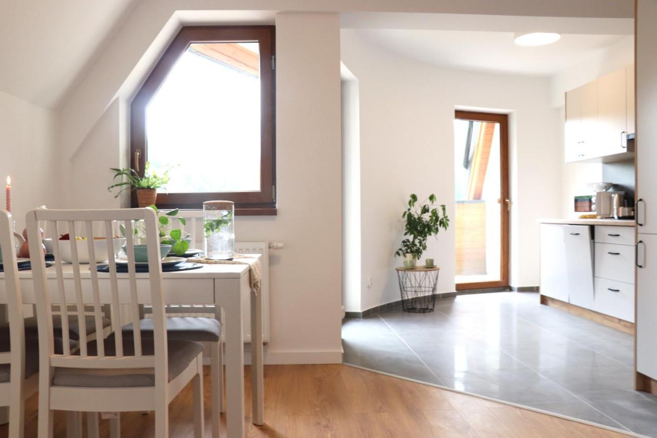 Apartamenty Pardalowka 50 Zakopane Kültér fotó