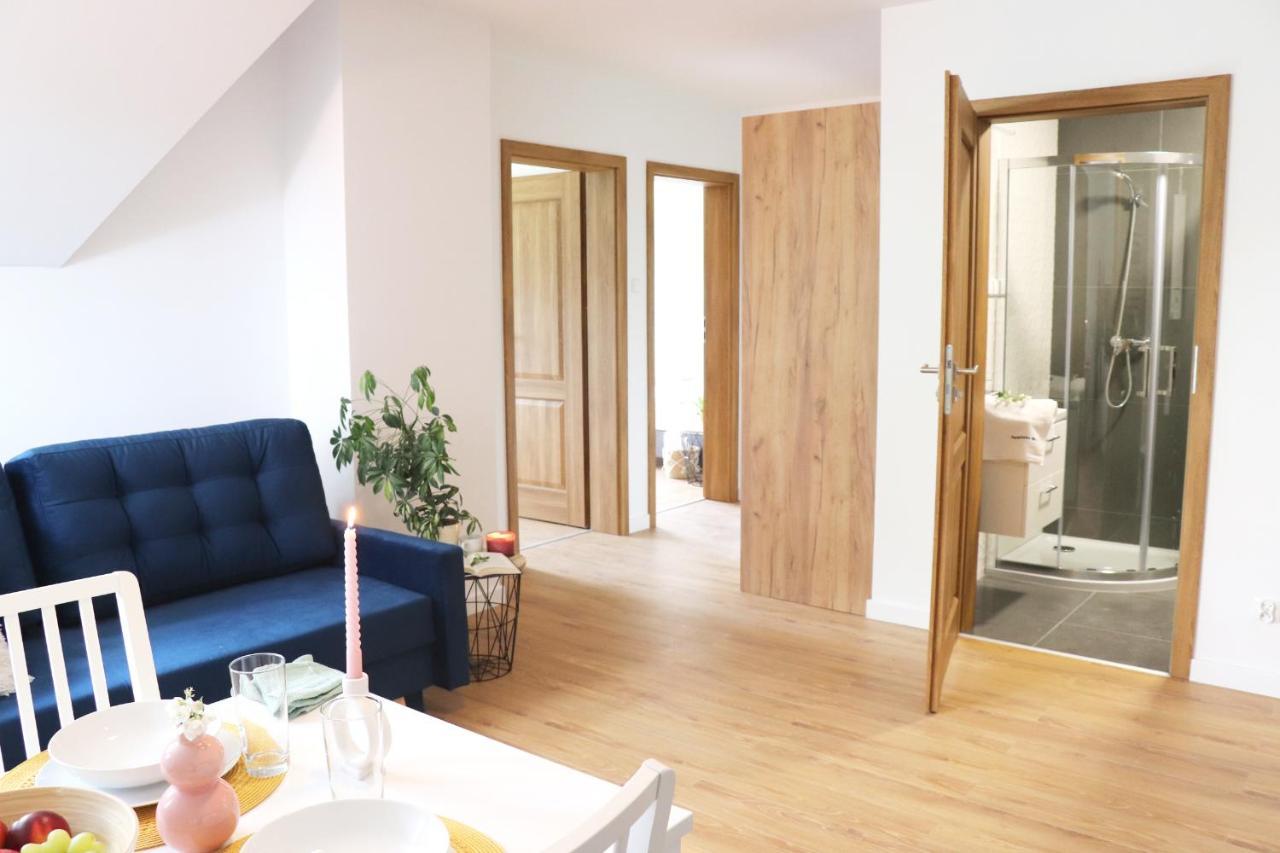 Apartamenty Pardalowka 50 Zakopane Kültér fotó
