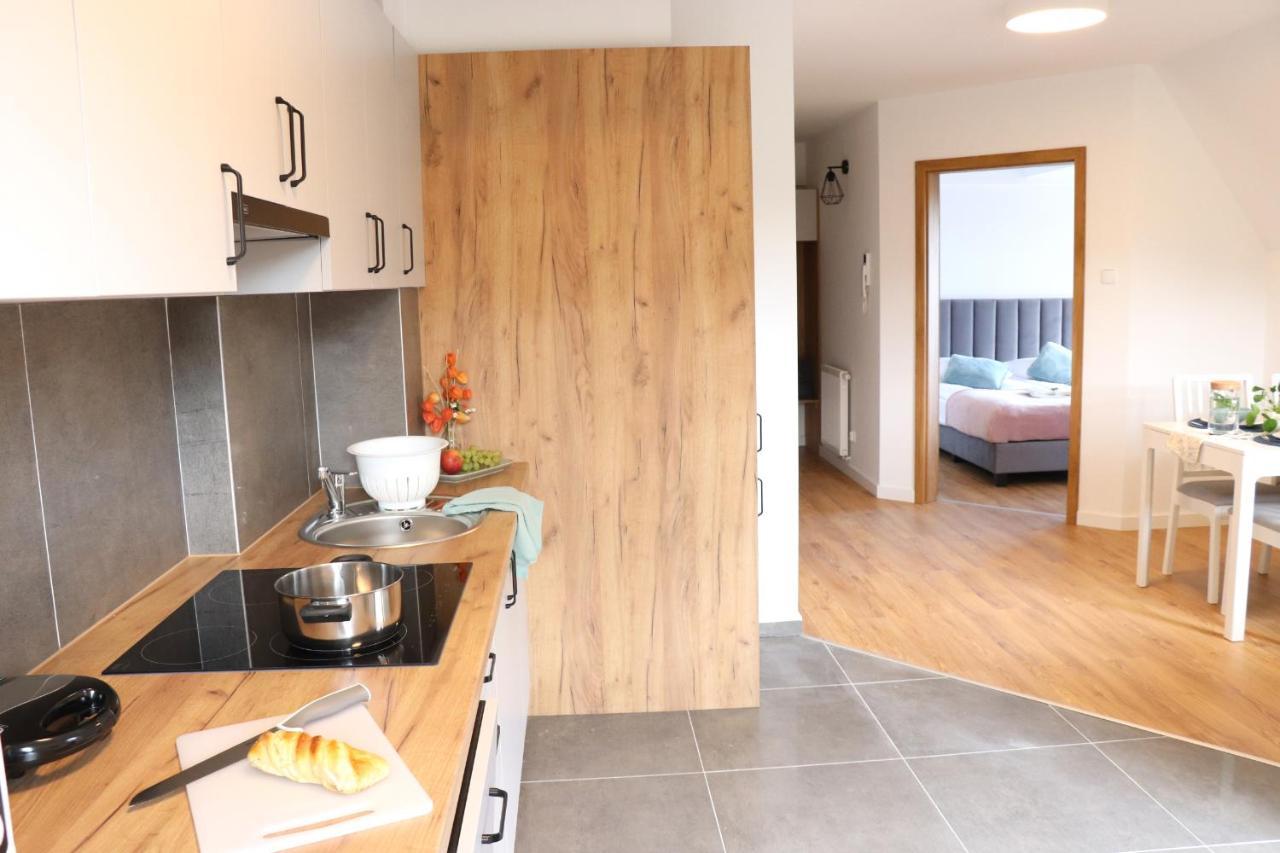Apartamenty Pardalowka 50 Zakopane Kültér fotó